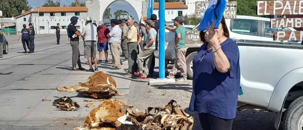 Productores culpan a la lucha antigranizo por la sequ&iacute;a