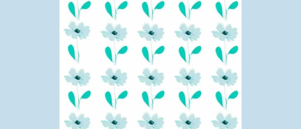 Prueba visual: &iquest;cu&aacute;l es la flor diferente?