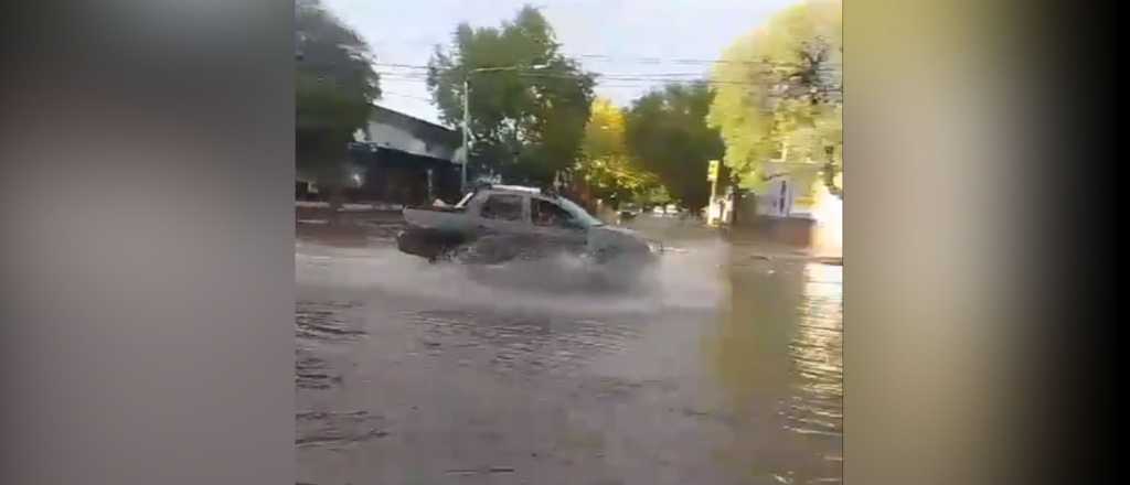 Casas inundadas y árboles caídos por la fuerte tormenta en Mendoza