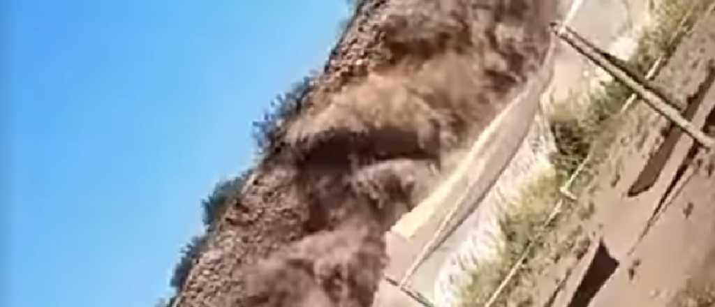 Video: pánico por un desprendimiento de tierra frente a Luján Playa