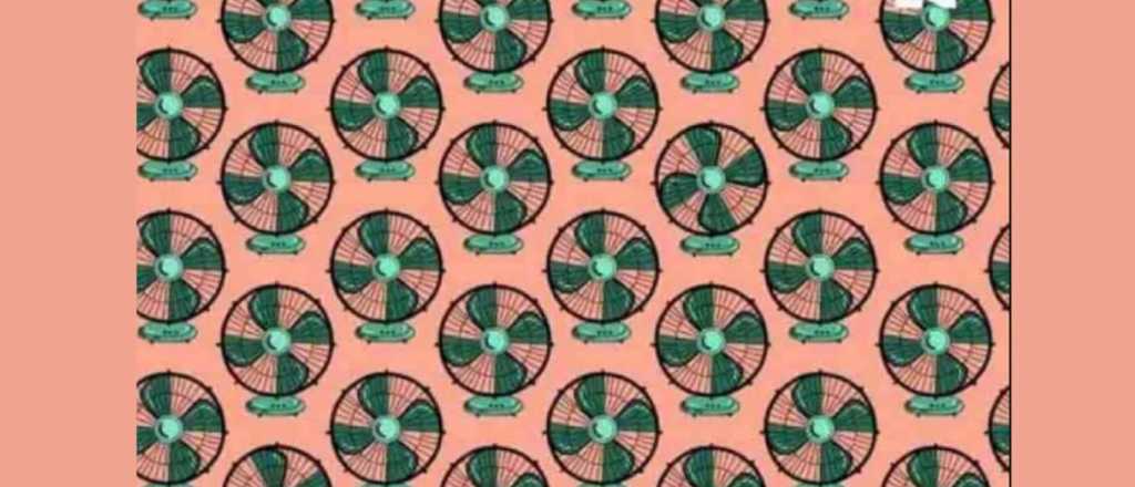 Acertijo visual: encontr&aacute; los ventiladores diferentes al resto 