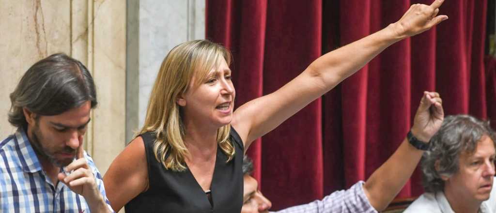 Video: esc&aacute;ndalo en diputados, un empresario se col&oacute; e insult&oacute; a Bregman