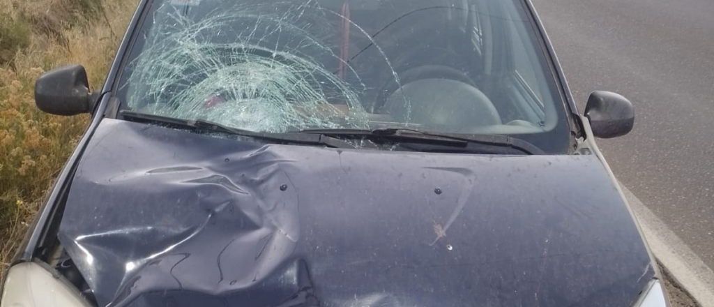 Conduc&iacute;a ebria y mat&oacute; a una mujer en San Carlos