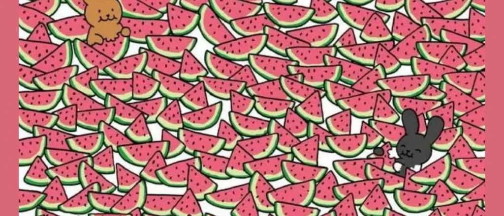 Acertijo para mentes brillantes: &iquest;D&oacute;nde est&aacute;n las sand&iacute;as sin semillas?