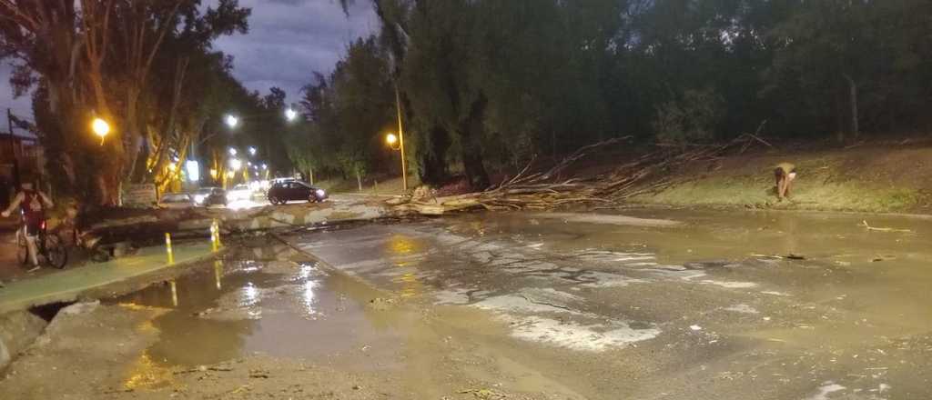 Los daños que dejó la fuerte tormenta de verano de este viernes en Mendoza