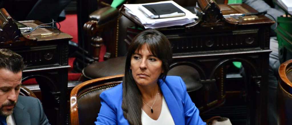 Pamela Verasay al Post: "Los números están muy finitos en la votación por artículo"
