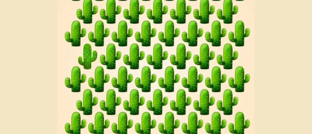 Acertijo visual: descubrí en menos de 6 segundos el cactus diferente
