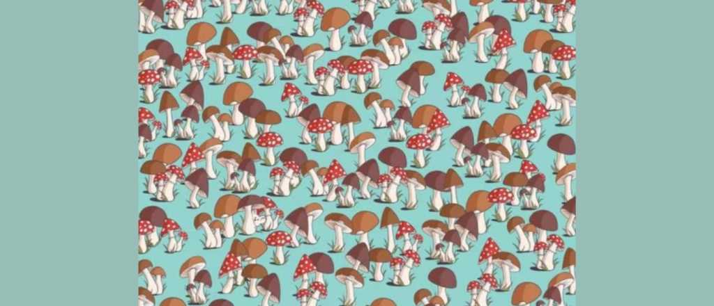 Acertijo visual: &iquest;pod&eacute;s encontrar el rat&oacute;n oculto?