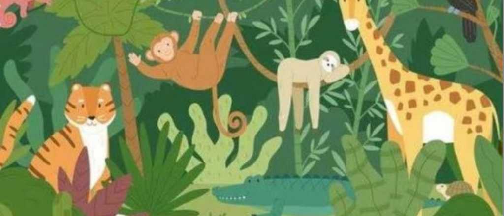 &iexcl;Solo para habilidosos! Encuentra a la tortuga en menos de 5 segundos