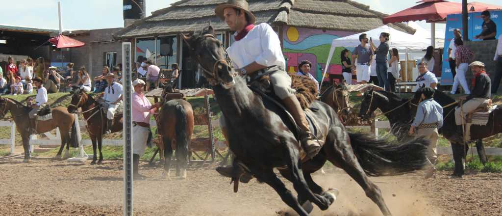 Salto, criollos y polo en un espect&aacute;culo ecuestre &uacute;nico