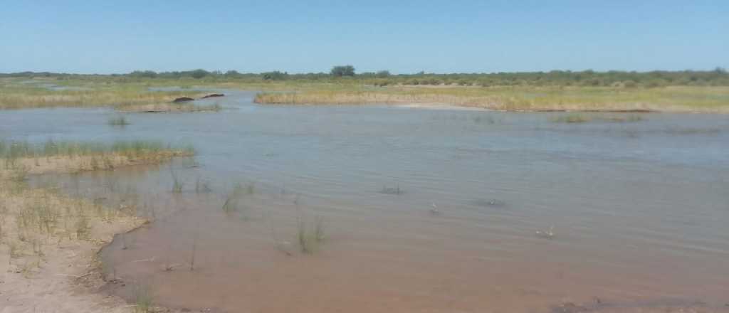 El Río Tunuyán llevó agua hasta Desaguadero después de 18 años