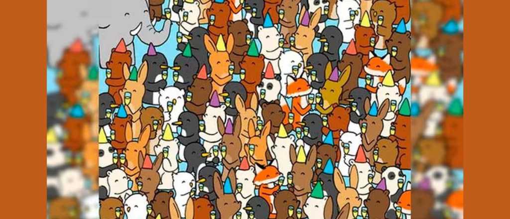 Acertijo visual: &iquest;pod&eacute;s encontrar las copas vac&iacute;as en la imagen?