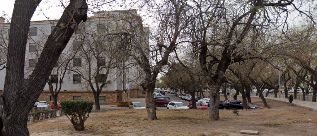 Casi todos los veh&iacute;culos oficiales est&aacute;n afectados a la Vendimia