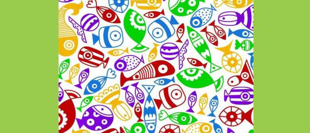 Prueba visual: &iquest;D&oacute;nde se oculta el caramelo?