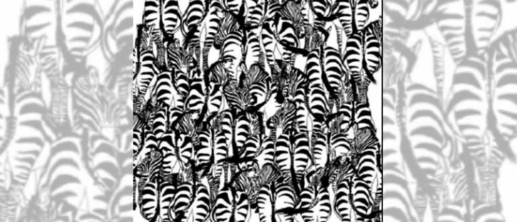 Acertijo visual: ¿Dónde se oculta la pequeña ardilla?