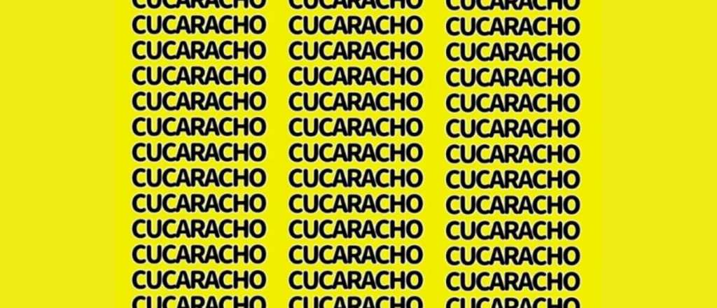 Sopa de letras: ¿podés encontrar el error en la imagen?