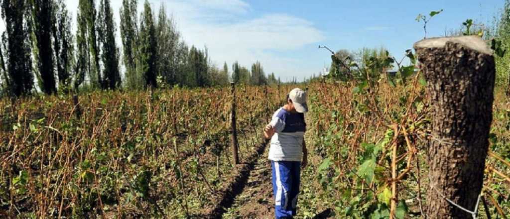 Aumenta la prestación por desempleo rural a $346.500