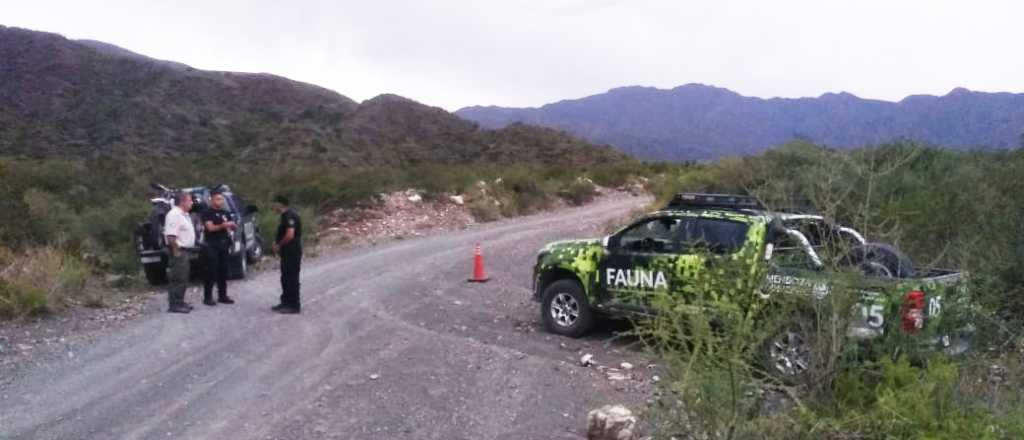 Caza furtiva: capturaron a dos hombres con carne de guanaco en Las Heras