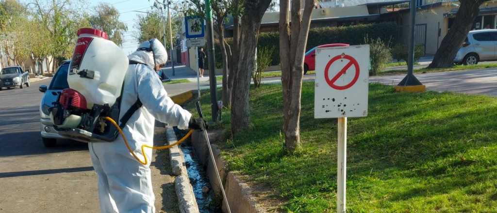 Por la suba del dengue piden aumentar la previsión dentro de las casas