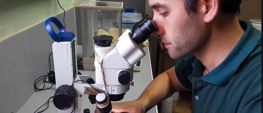 Guillermo Azín al Post: "En 3 años tendremos el mosquito estéril del dengue"