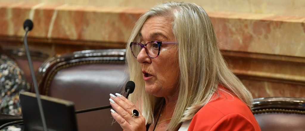 Senadora de la UCR que votó contra el DNU denunció amenazas de muerte