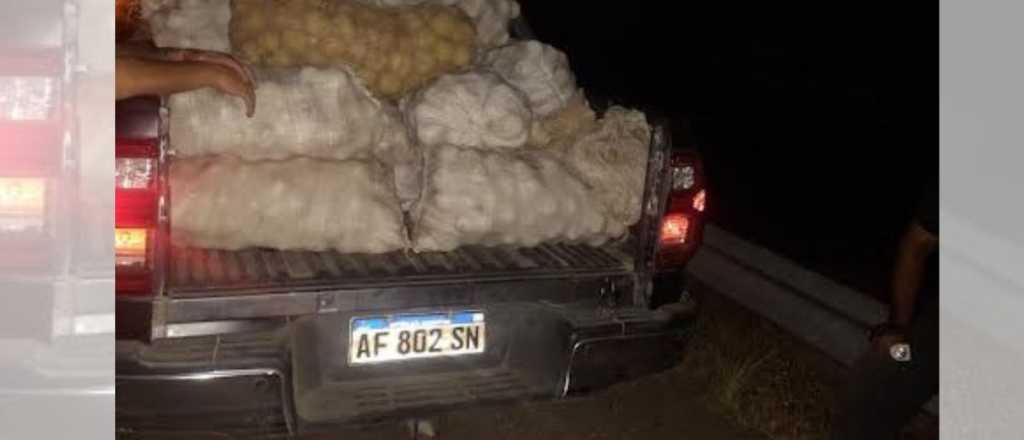 Recuperaron más de una tonelada de duraznos robada en Tupungato