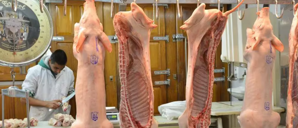 Subió el consumo de carne de cerdo: ¿cuánto cuesta en Mendoza?