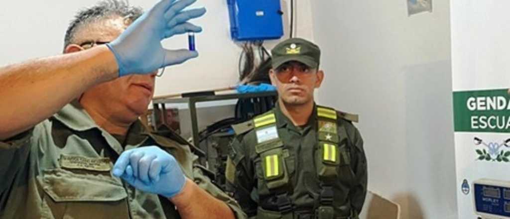 Hallaron coca&iacute;na lista para vender en un auto que viajaba por la Ruta 86