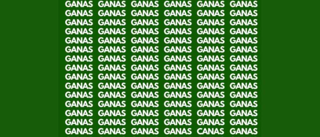 Sopa de letras: ¿podés encontrar la palabra "canas" en menos de 5 segundos?