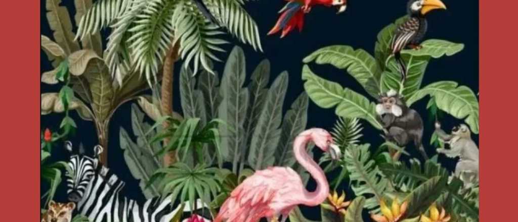 Acertijo visual: encontr&aacute; al cocodrilo escondido en la imagen 