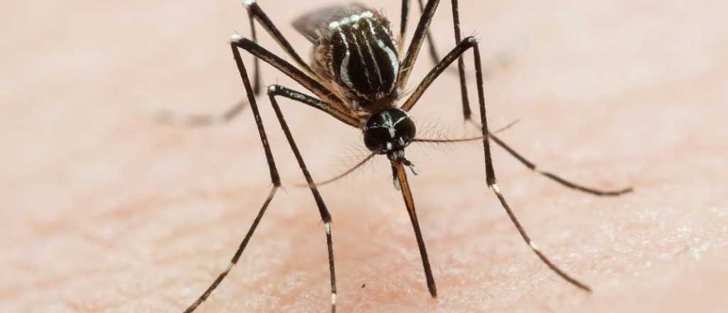 Un hombre con "dengue grave" murió en el Hospital Central