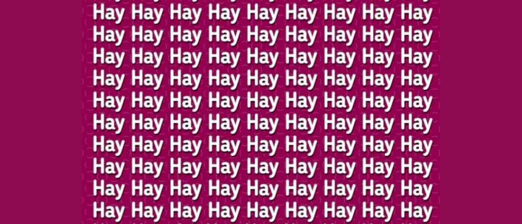 Sopa de letras: ¿podés encontrar la palabra "ay" en la imagen?