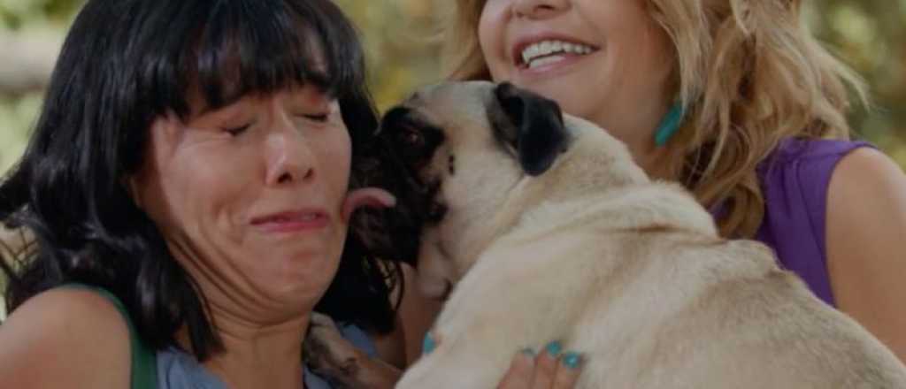 ¿Soñaste con tu suegra?: qué significa