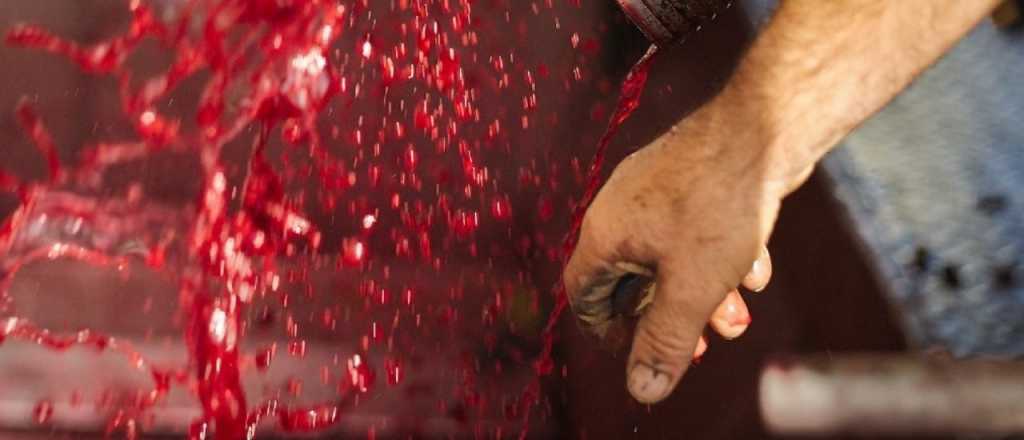 Pol&eacute;mica: una bodega decidi&oacute; importar 5 millones de litros de vino de Chile