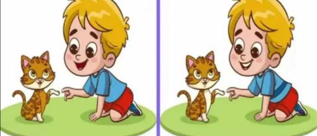 &iexcl;S&oacute;lo para habilidosos! &iquest;Pod&eacute;s encontrar las tres diferencias en la imagen?