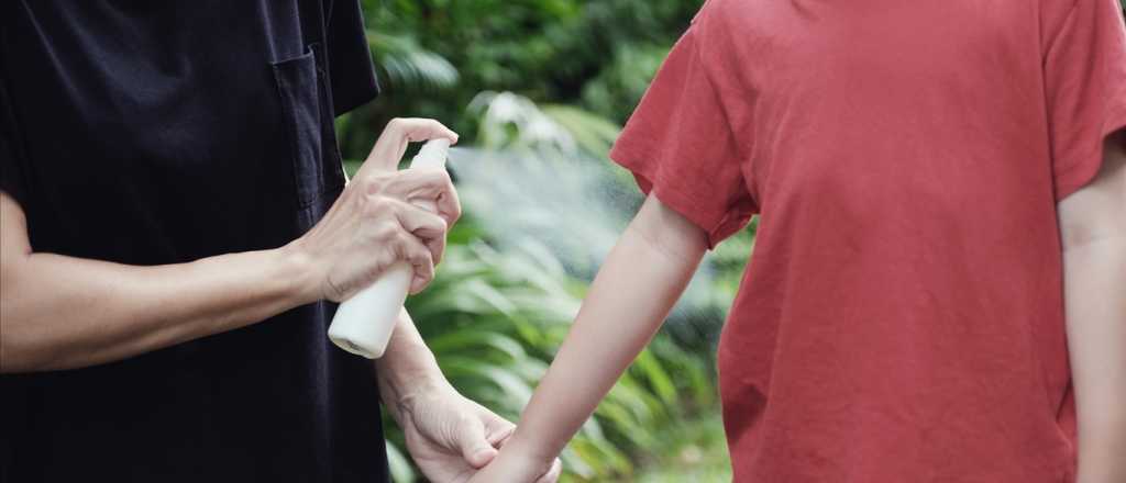 El Gobierno abre las importaciones de repelente para frenar el dengue