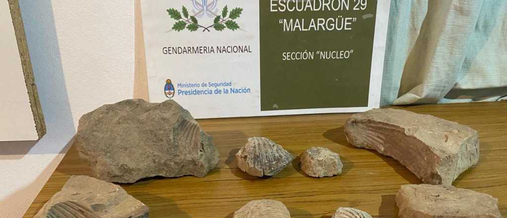 Un hombre fue detenido por robar f&oacute;siles en San Rafael