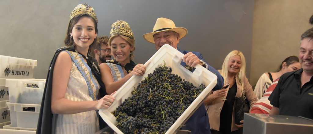Produjo vino la primera bodega céntrica en la Ciudad de Mendoza