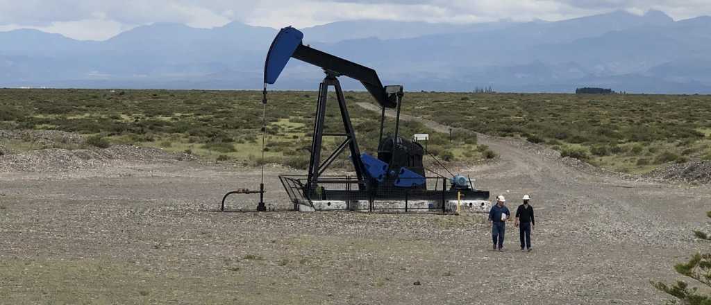 YPF pone a la venta 14 zonas petroleras de Mendoza