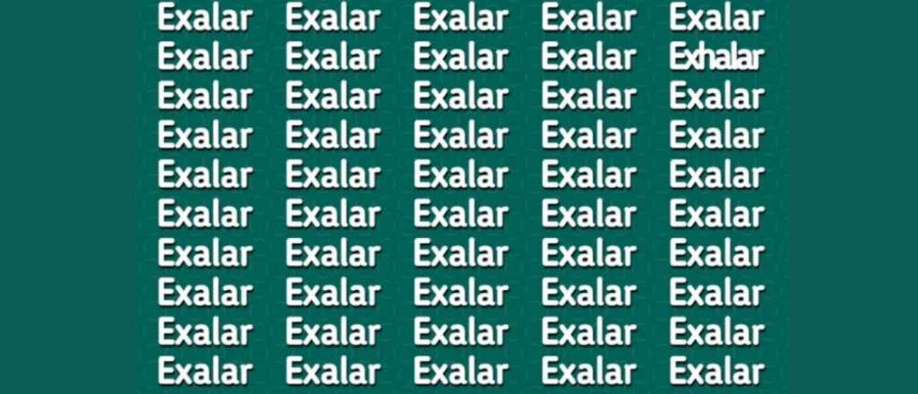 ¡Sopa de letras! ¿Dónde se oculta el error?