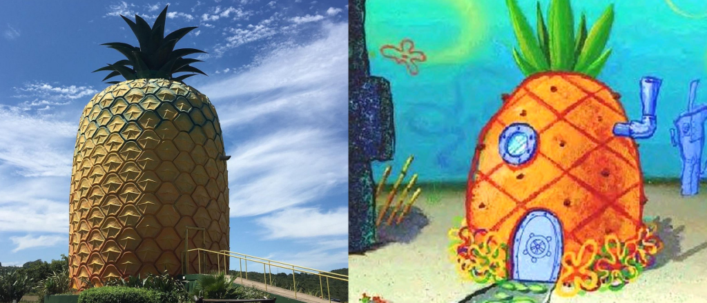 La casapi&ntilde;a de Bob Esponja existe y se encuentra en &Aacute;frica