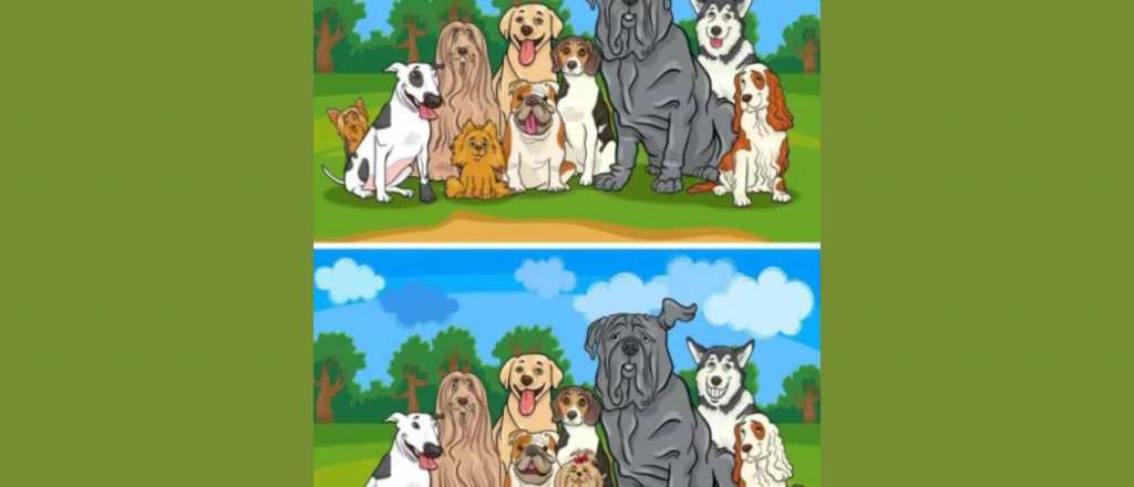 Acertijo visual: &iquest;pod&eacute;s encontrar las diferencias en la imagen?