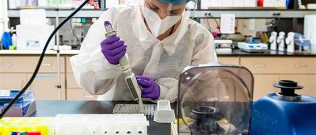 El ABC de la tecnolog&iacute;a: qu&eacute; significa Biotecnolog&iacute;a industrial