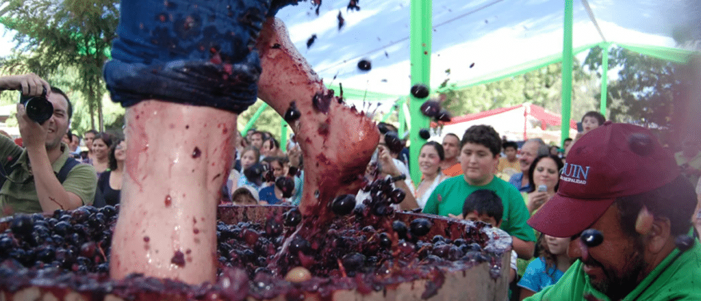Ulpiano Suarez participó de la Vendimia Valle del Maipo