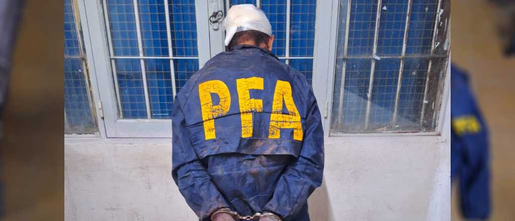 Video: disfrazados de polic&iacute;as, entraron a una casa en Las Heras 