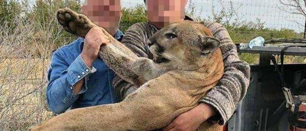 ONG mendocina presentó un amparo contra la caza deportiva en Santa Cruz