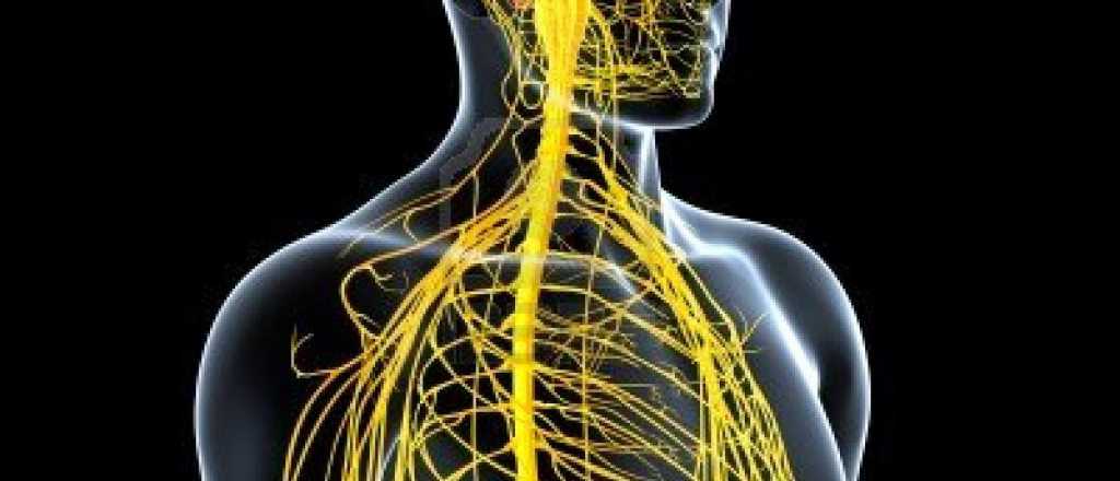 Disautonomía: qué significa el término que se ha vuelto viral