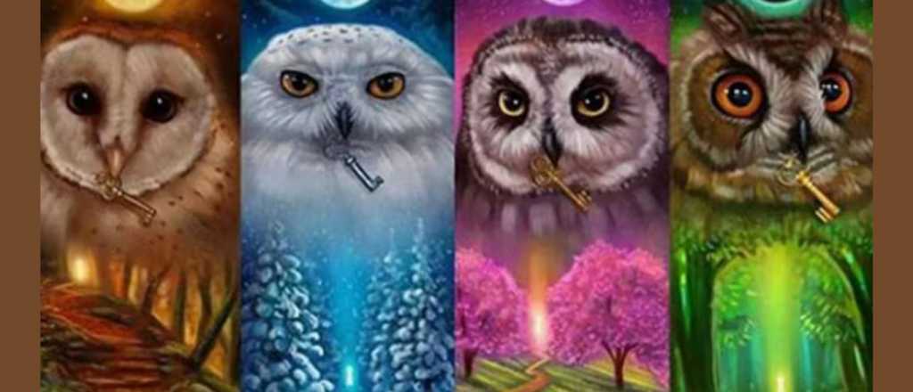 Test psicol&oacute;gico: eleg&iacute; un b&uacute;ho y descubr&iacute; c&oacute;mo sos en realidad