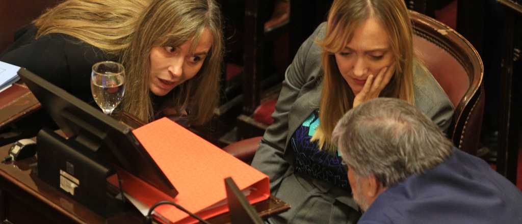 UxP avanza en el Senado para rechazar el veto a la Ley de Discapacidad