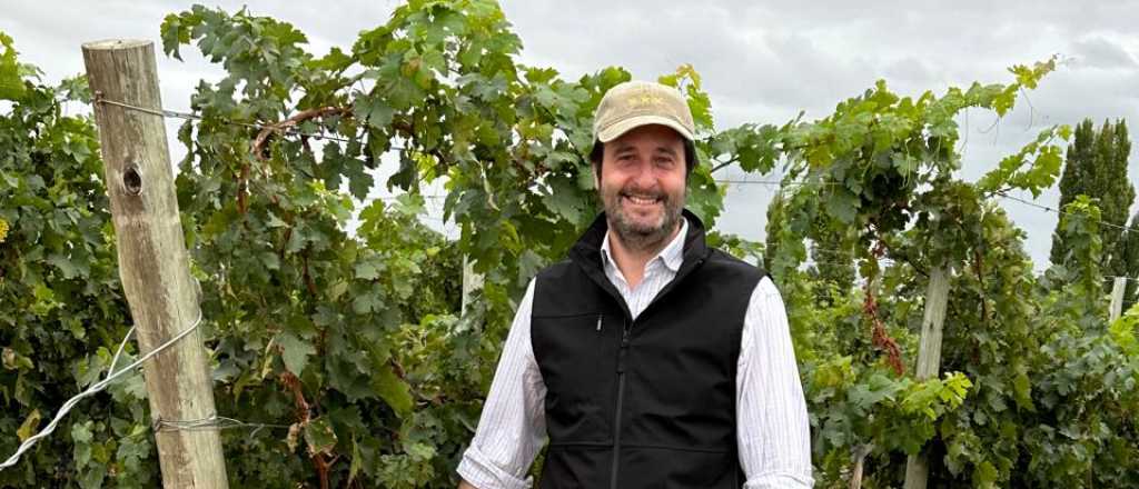 Videla Saenz al Post: "Hay que mostrar Mendoza para atraer inversiones"